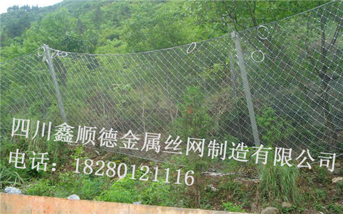 四川(chuan)邊坡(po)防(fang)護(hu)網(wang)有(you)哪(na)九大(da)防護(hu)類(lei)型(xing)？