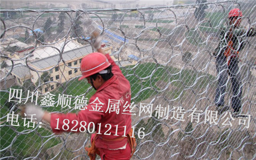 四(si)川邊(bian)坡(po)防護(hu)網(wang)廠(chang)傢
